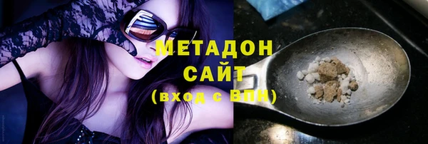 индика Аркадак