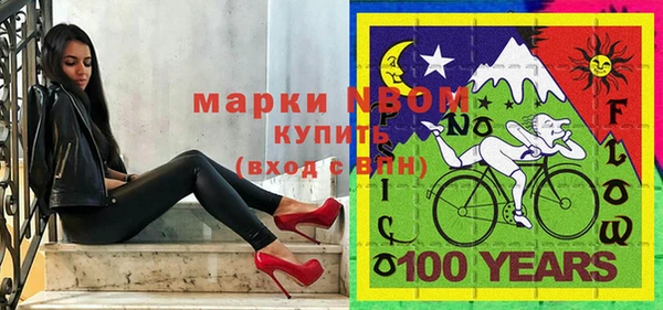 индика Аркадак