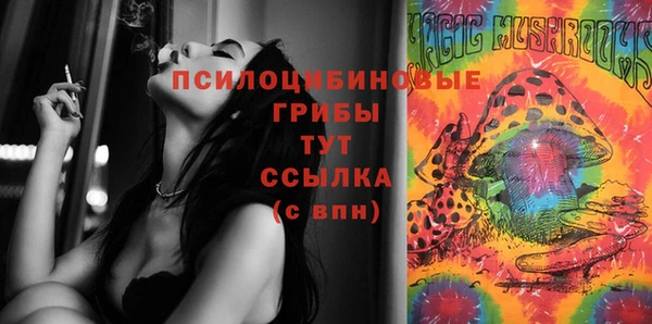 молекула духа Алзамай
