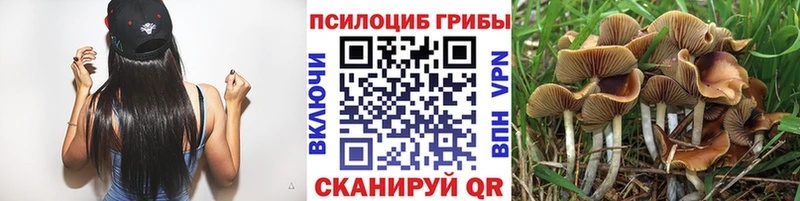 Галлюциногенные грибы мицелий  darknet Telegram  Бологое 